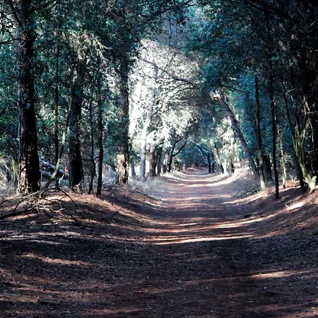 Cortina 2-24 Apartamento