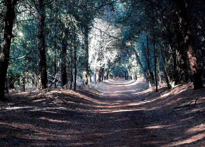 Cortina 2-24 아파트